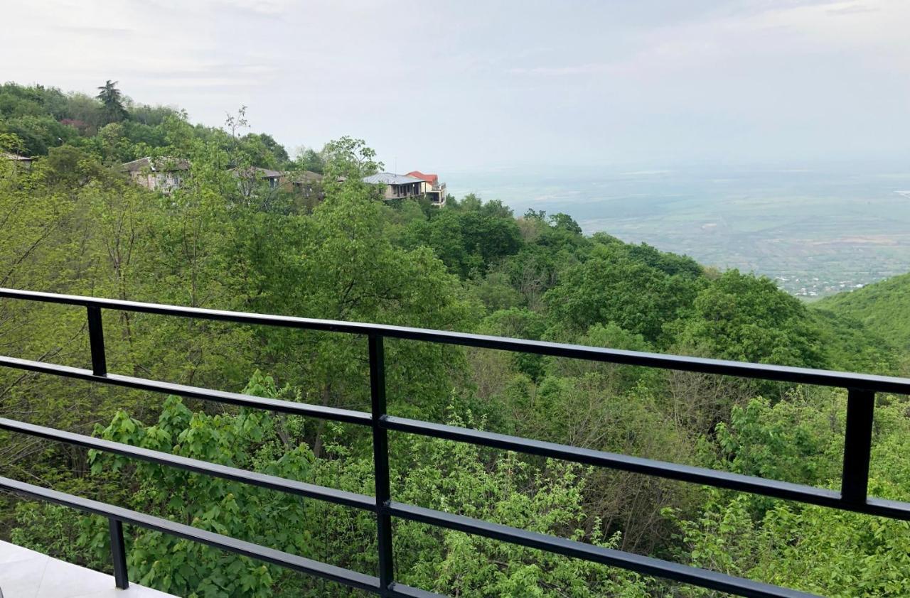 Hotel Martinichi Sighnaghi Εξωτερικό φωτογραφία