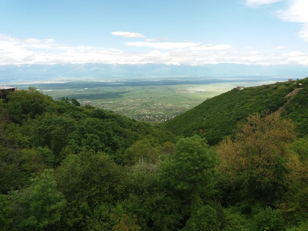 Hotel Martinichi Sighnaghi Εξωτερικό φωτογραφία