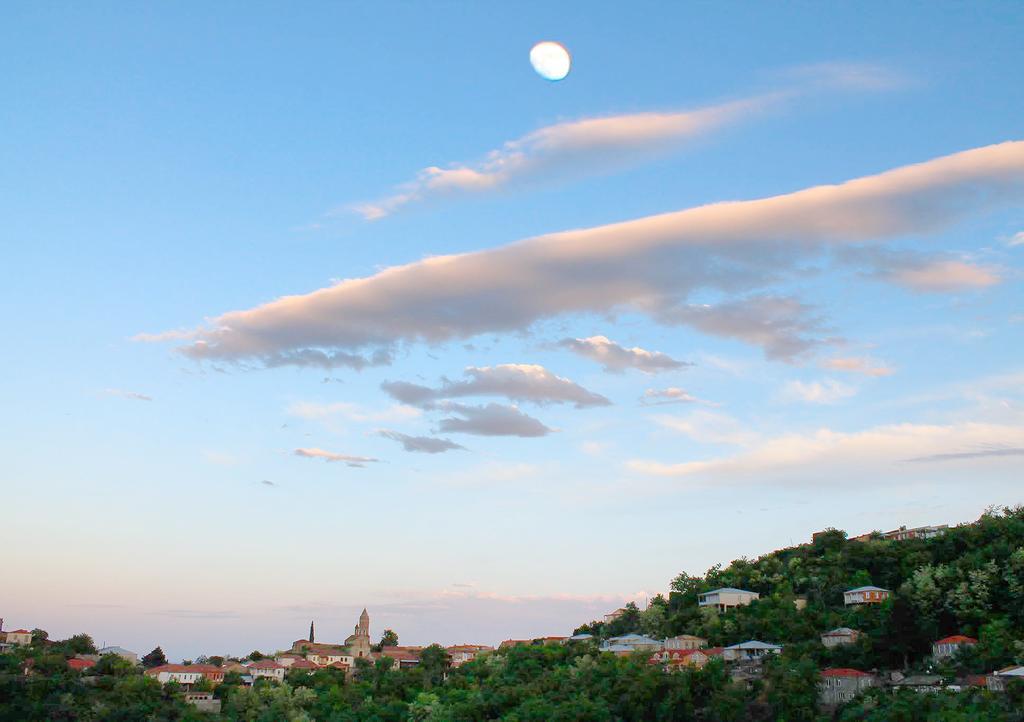 Hotel Martinichi Sighnaghi Εξωτερικό φωτογραφία